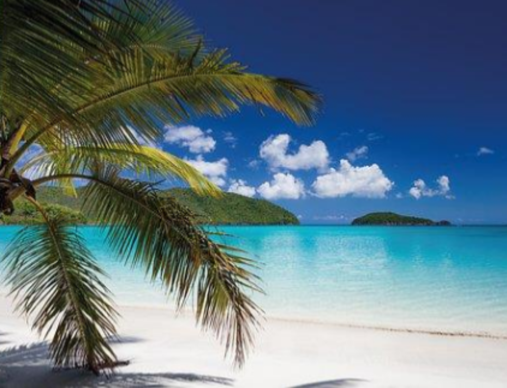 Tropical Beach Vacation Ideas By Leola Motley